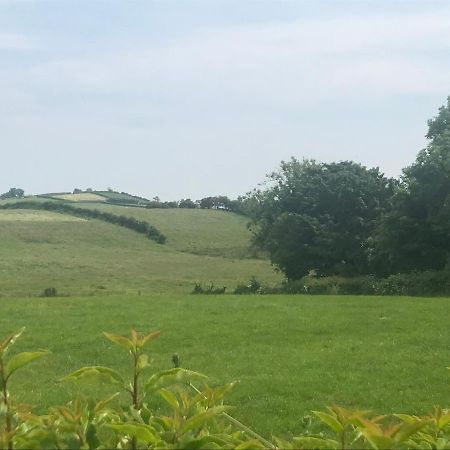 KnockloghrimThe Shed.アパートメント エクステリア 写真