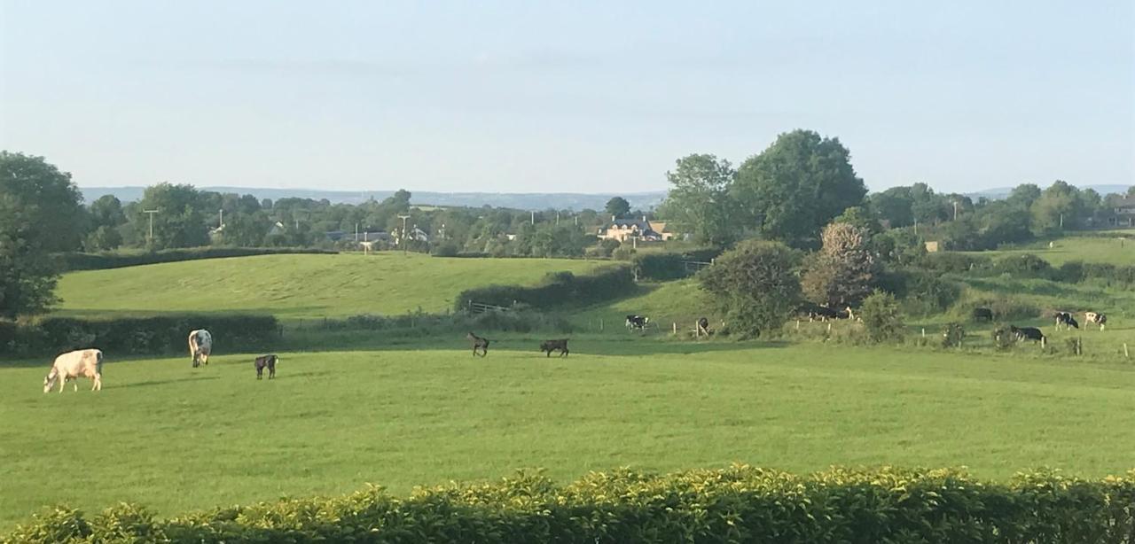 KnockloghrimThe Shed.アパートメント エクステリア 写真